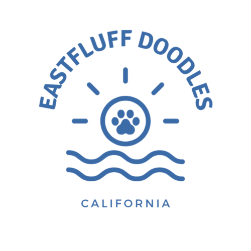 Eastfluff Doodles